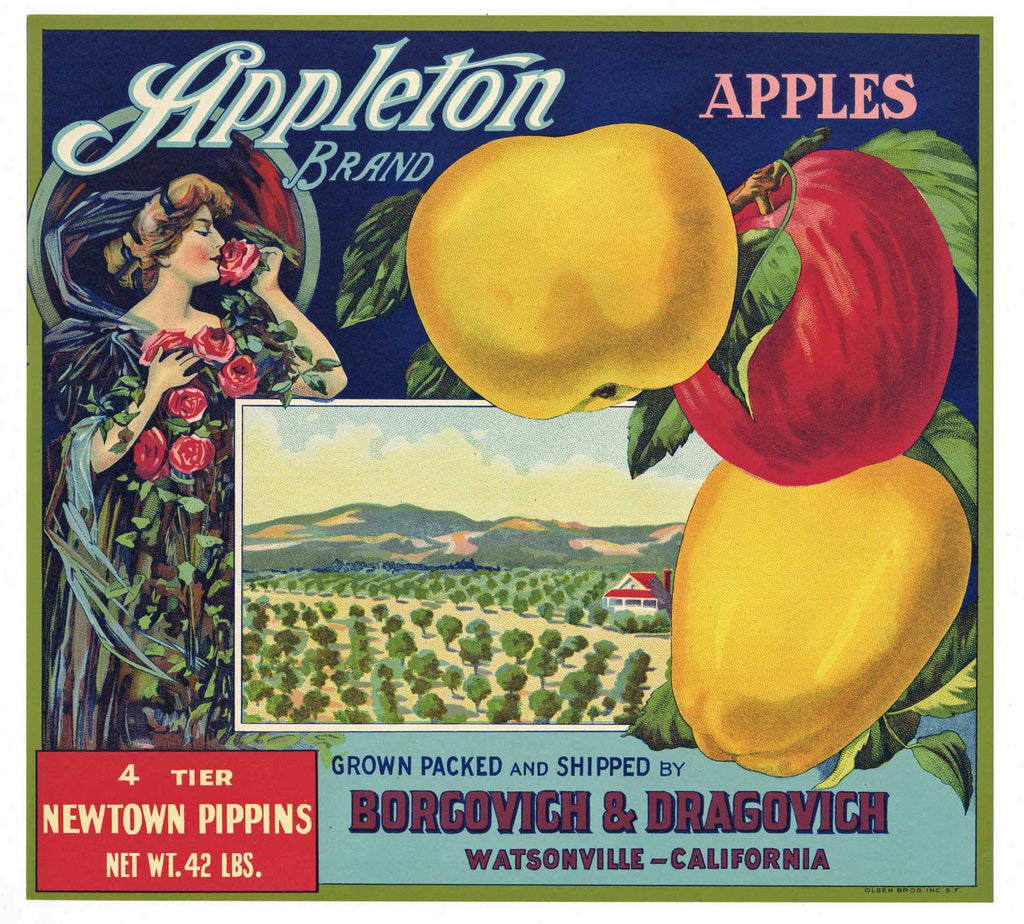 Appleton Brand Vintage Watsonville Apple Crate Label