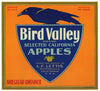 Bird Valley Brand Vintage Watsonville Apple Crate Label
