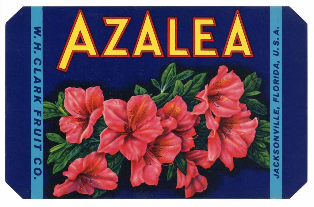 Azalea Brand Vintage Jacksonville Florida Citrus Crate Label, 6x9