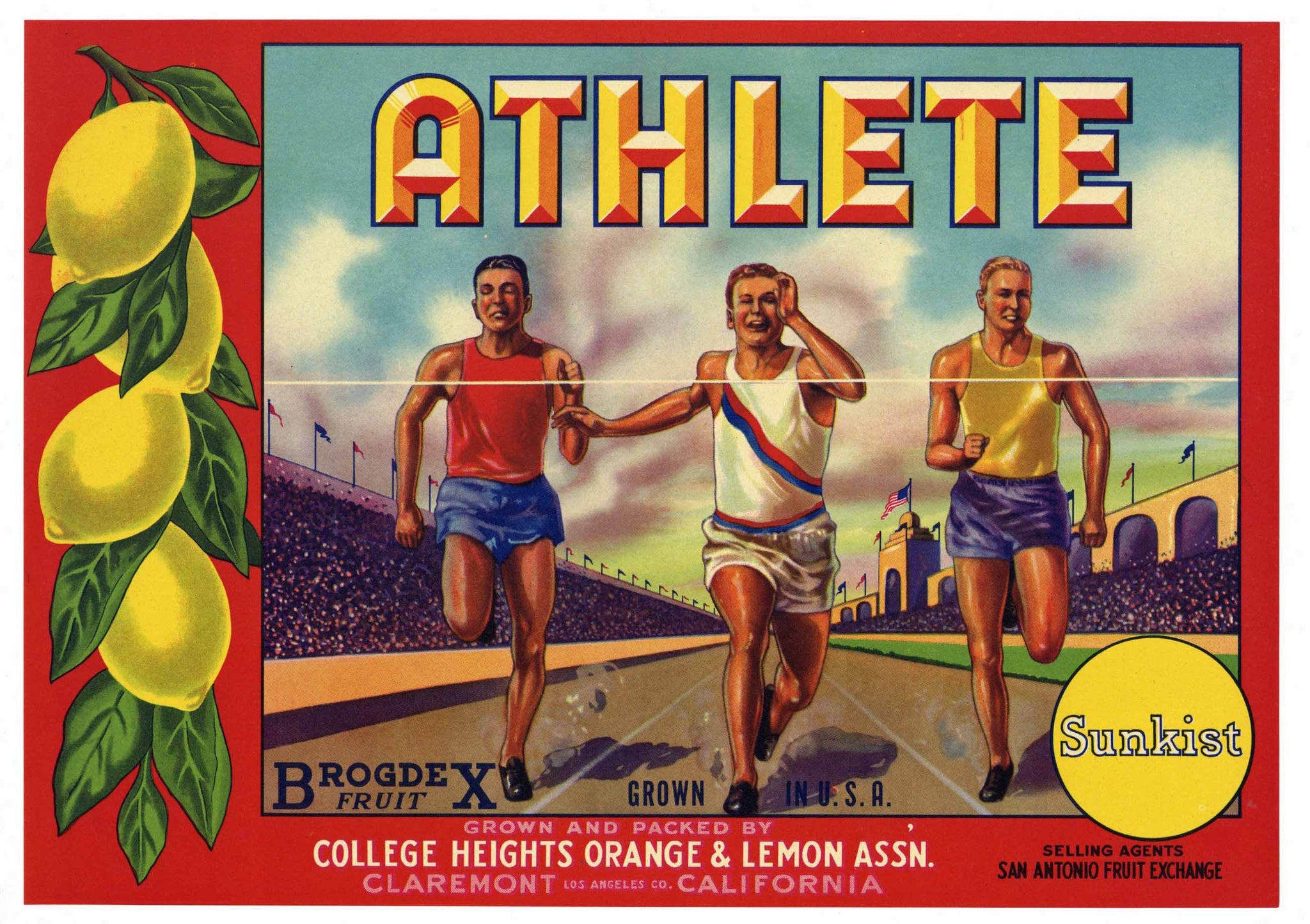 Athlete Brand Vintage Claremont Lemon Crate Label