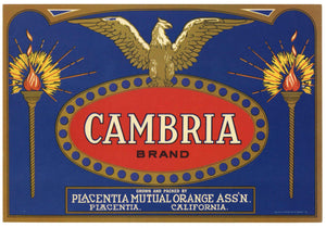 Cambria Brand Vintage Placentia Lemon Crate Label