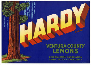 Hardy Brand Vintage Santa Paula Lemon Crate Label