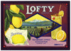 Lofty Brand Vintage Fallbrook Lemon Crate Label