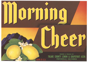 Morning Cheer Brand Vintage Porterville California Lemon Crate Label