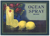 Ocean Spray Brand Vintage Santa Paula Lemon Crate Label