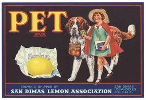 Pet Brand Vintage San Dimas Lemon Crate Label
