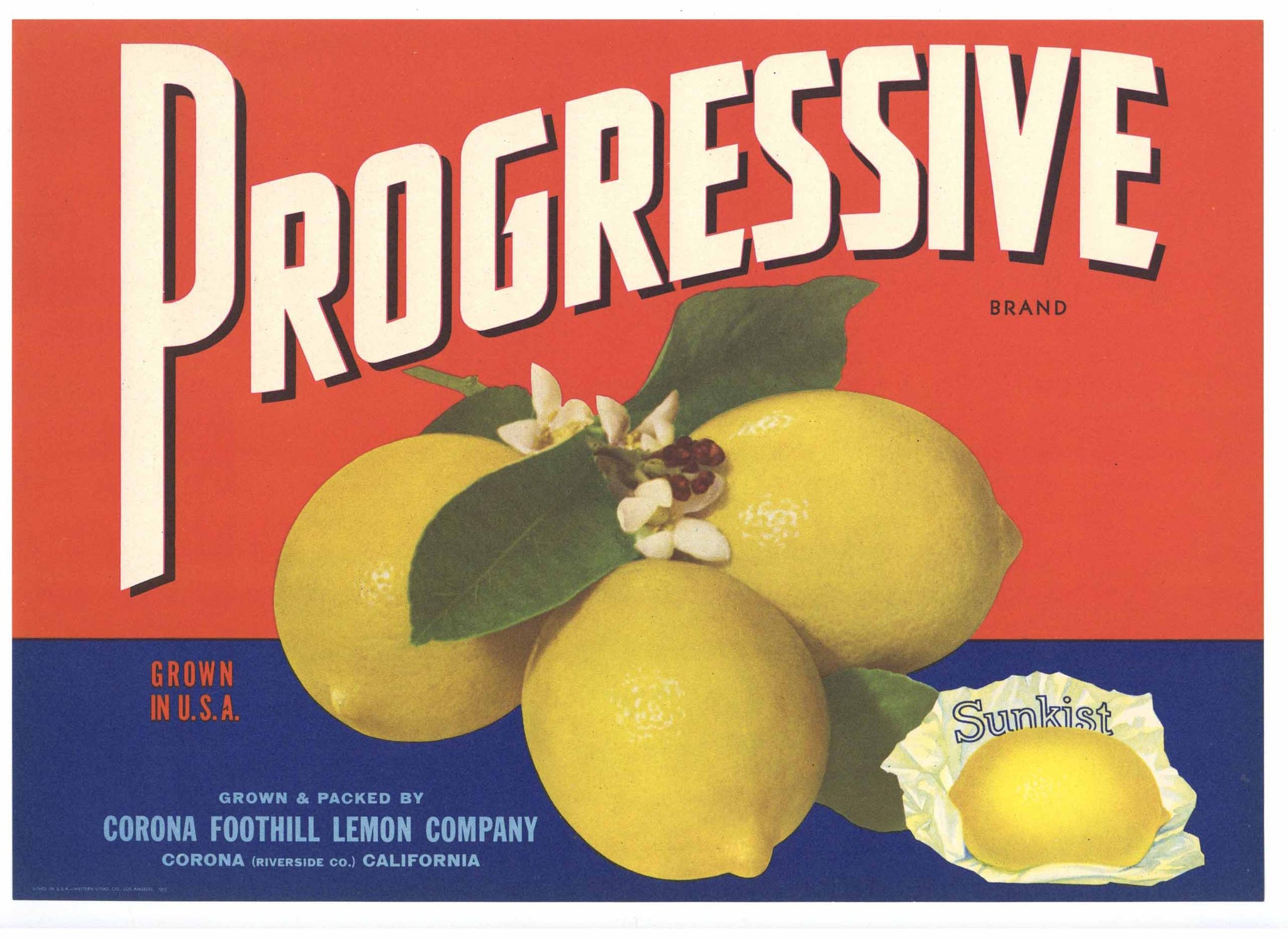 Progressive Brand Vintage Corona Lemon Crate Label