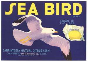 Sea Bird Brand Vintage Carpinteria Lemon Crate Label