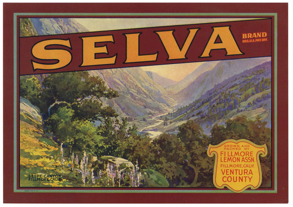 Selva Brand Vintage Fillmore California Lemon Crate Label