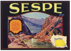 Sespe Brand Vintage Fillmore California Lemon Crate Label
