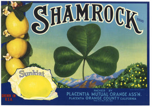 Shamrock Brand Vintage Placentia California Lemon Crate Label