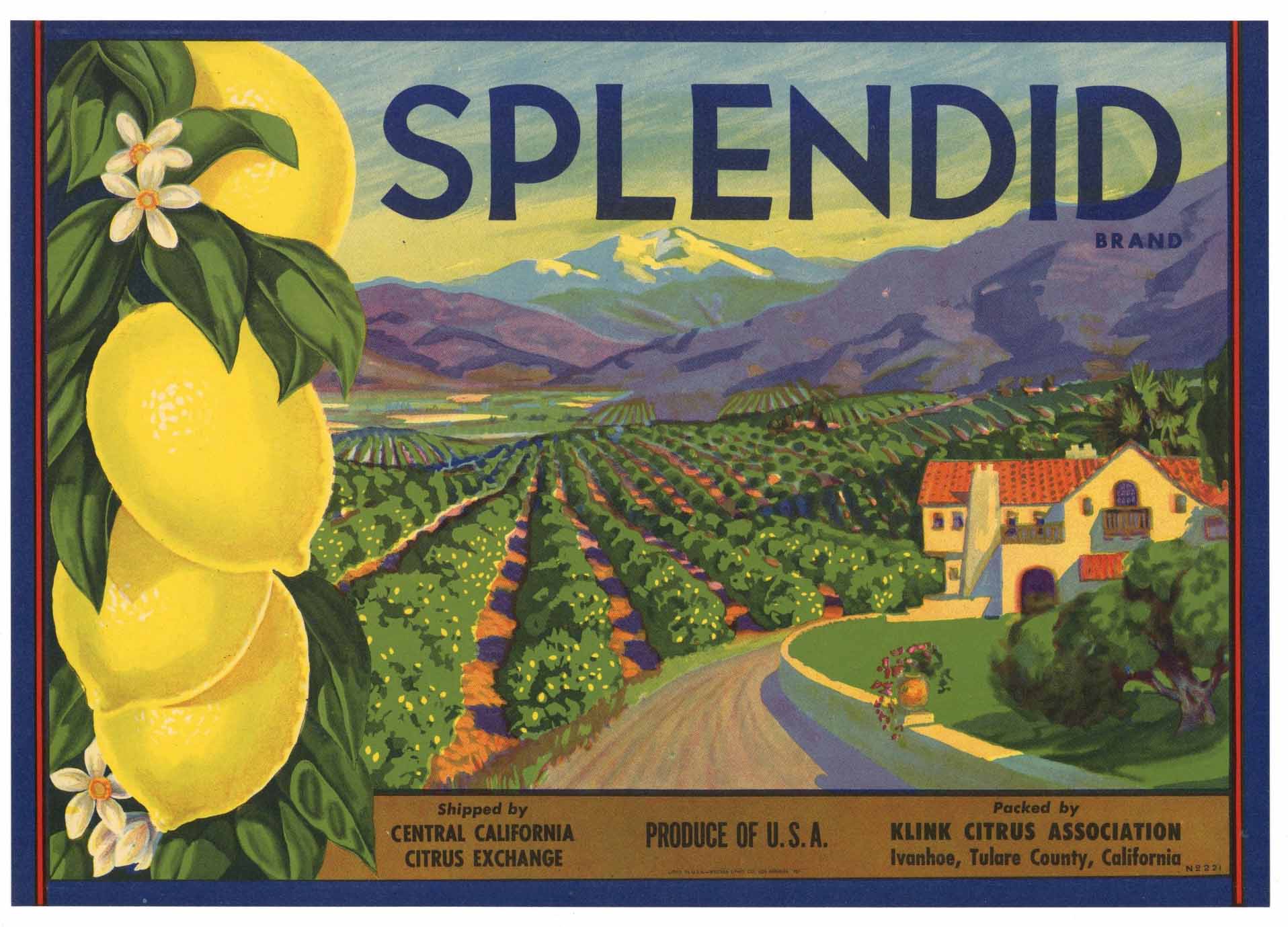 Splendid Brand VintageTulare County California Lemon Crate Label