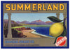 Summerland Brand Vintage Montecito Lemon Crate Label