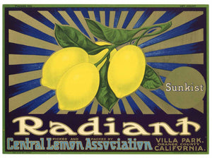 Radiant Brand Vintage Villa Park Lemon Crate Label