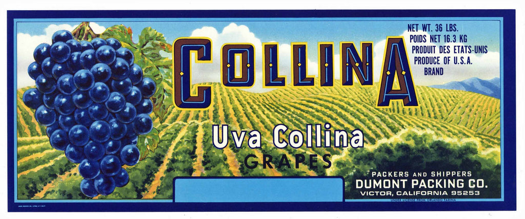 Collina Brand Vintage Wine Grape Crate Label