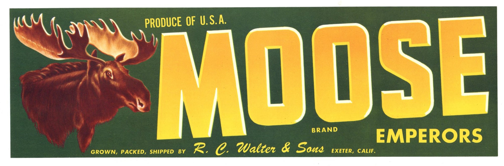 Moose Brand Vintage Exeter Grape Crate Label