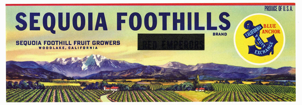 Sequoia Foothills Brand Vintage Woodlake Fruit Crate Label