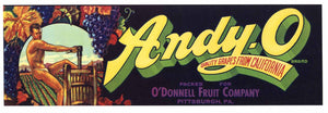 Andy-O Brand Vintage Grape Crate Label