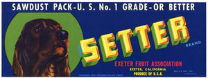 Setter Brand Vintage Exeter Fruit Crate Label, Sawdust Pack, Dog