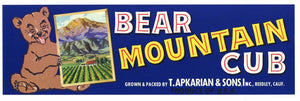 Bear Mountain Cub Brand Vintage Fruit Crate Label