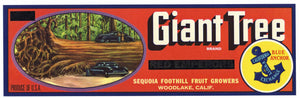 Giant Tree Brand Vintage Woodlake Grape Crate Label