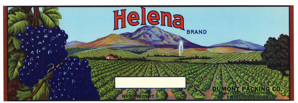 Helena Brand Vintage Grape Crate Label
