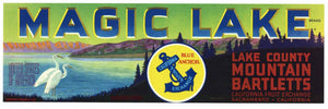 Magic Lake Brand Vintage Pear Crate Label L (LL345)