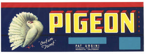 Pigeon Brand Vintage Modesto Fruit Crate Label