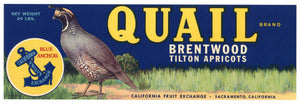Quail Brand Vintage Brentwood California Fruit Crate Label