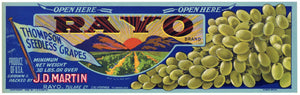 Rayo Brand Vintage California Grape Crate Label, green