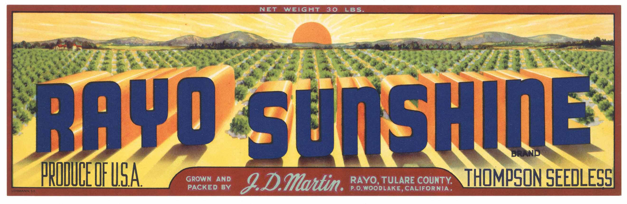 Rayo Sunshine Brand Vintage California Grape Crate Label