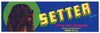 Setter Brand Vintage Exeter Fruit Crate Label, z