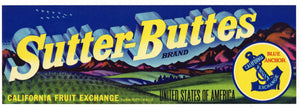 Sutter Buttes Brand Vintage Yuba City Produce Crate Label, L