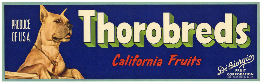 Thorobreds Brand Vintage Di Giorgio Produce Crate Label