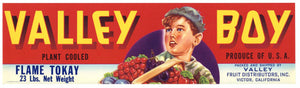 Valley Boy Brand Vintage Victor Grape Crate Label