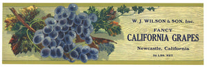 W. J. Wilson Brand Vintage Placer County Fancy California Grapes Crate Label