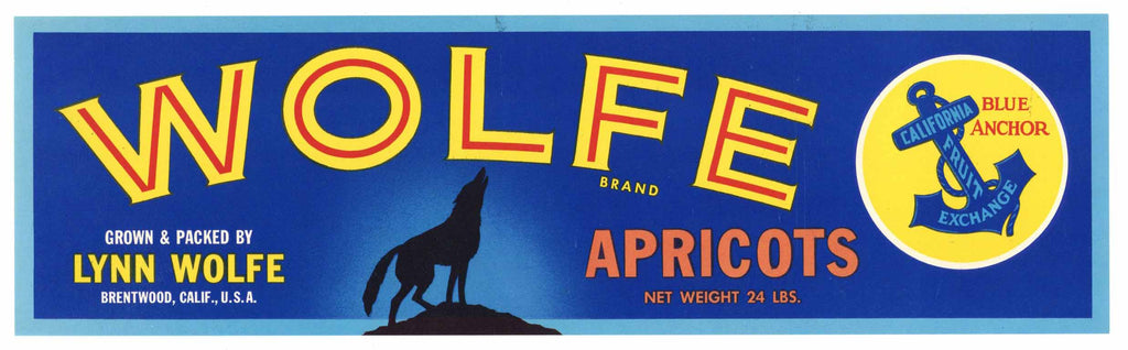 Wolfe Brand Vintage Brentwood Apricot Fruit Crate Label