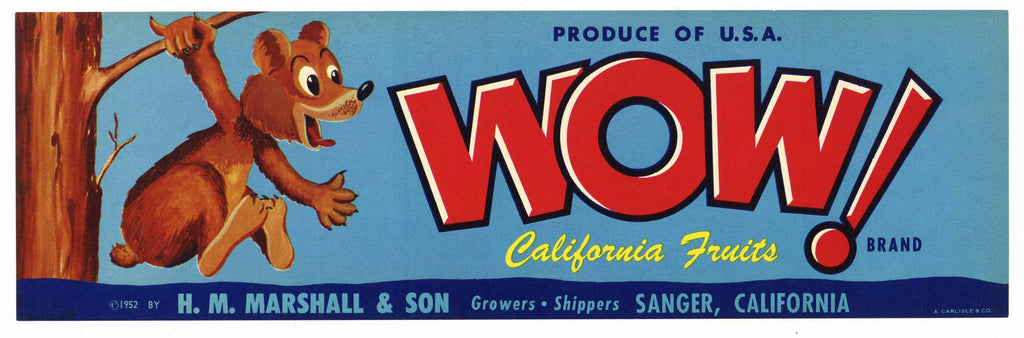 WOW!  Brand Vintage Sanger Produce Crate Label