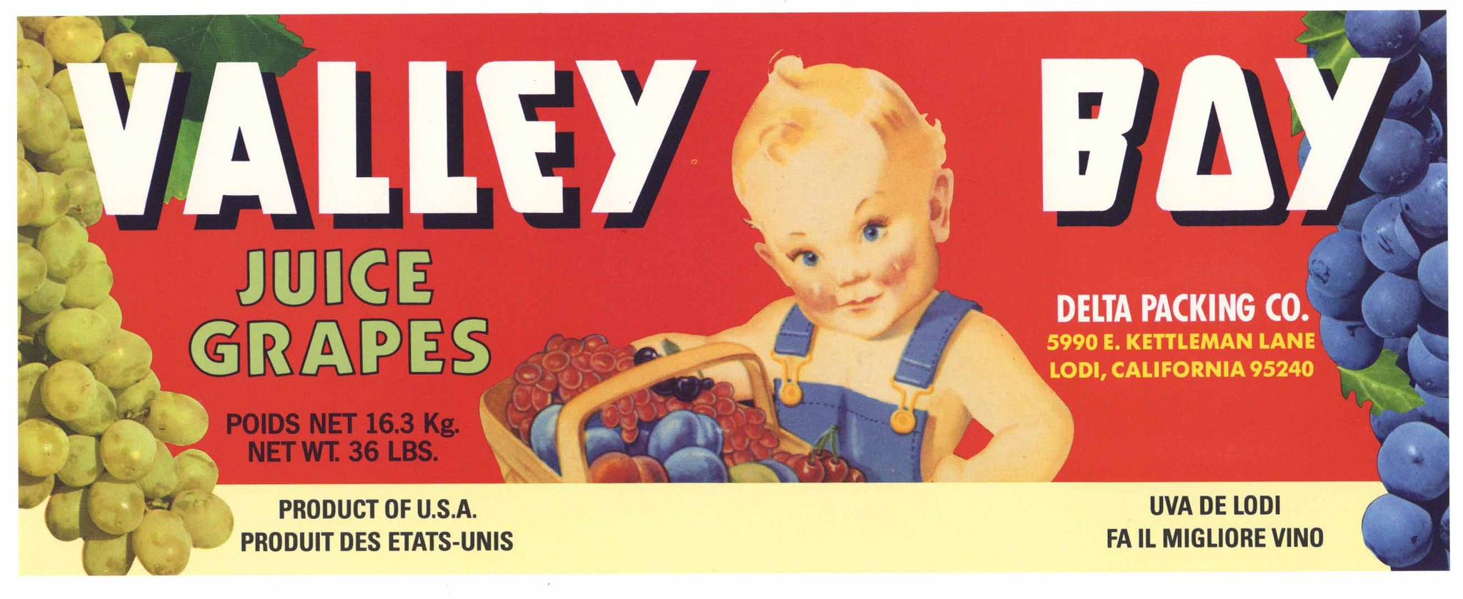 Valley Boy Brand Vintage Lodi Wine Grape Crate Label