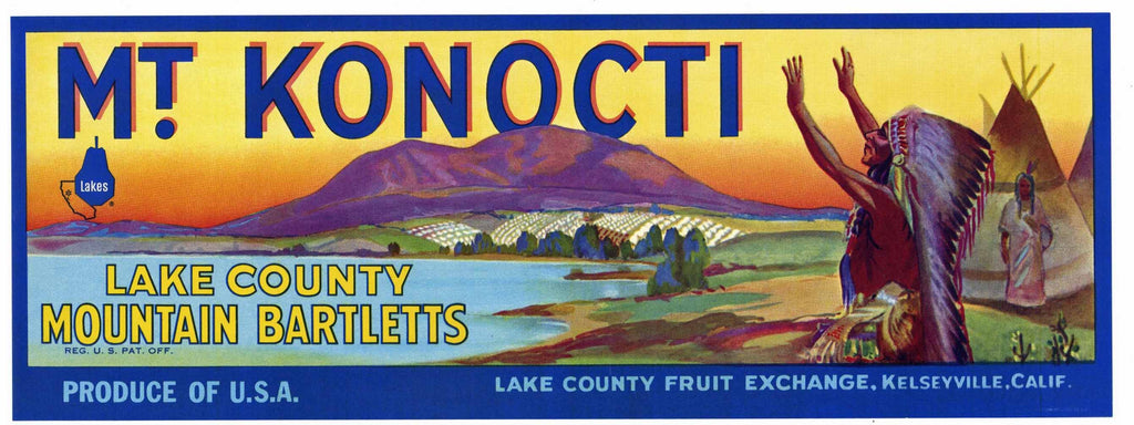 Mt. Konocti Brand Vintage Lake County Pear Crate Label, lug