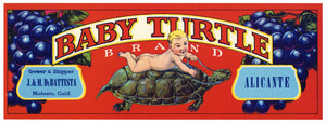 Baby Turtle Brand Vintage Alicante Grape Crate Label