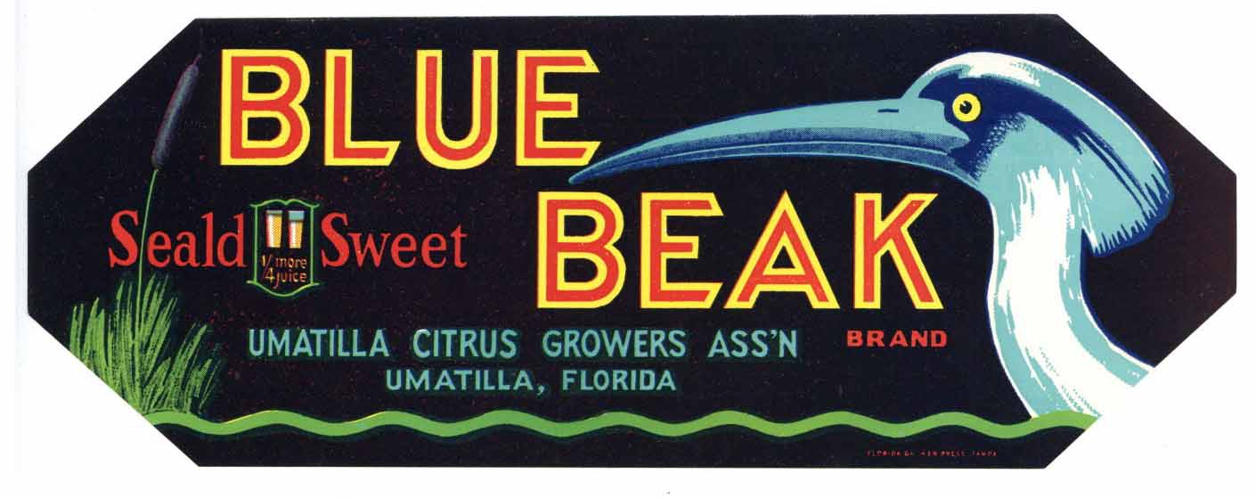 Blue Beak Brand Vintage Umatilla Florida Citrus Crate Label