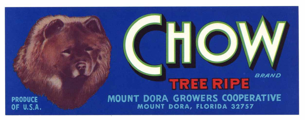Chow Brand Vintage Mount Dora Florida Citrus Crate Label