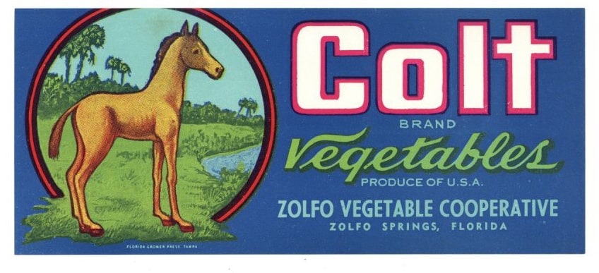 Colt Brand Vintage Zolfo Springs Florida Produce Crate Label