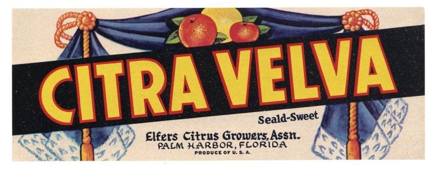 Citra Velva Brand Vintage Palm Harbor Florida Citrus Crate Label