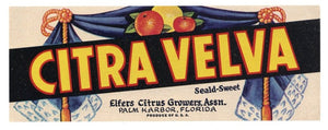 Citra Velva Brand Vintage Palm Harbor Florida Citrus Crate Label