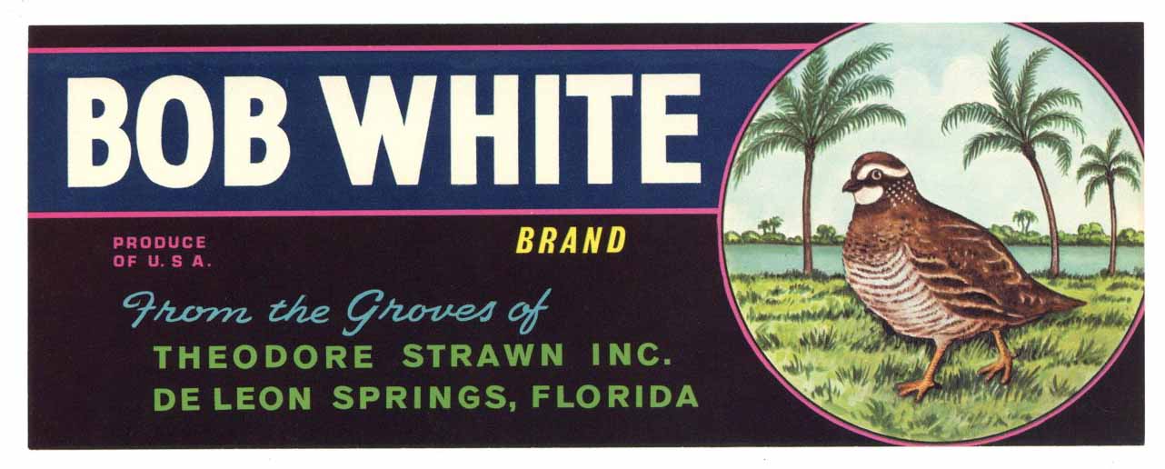 Bob White Brand Vintage Florida Citrus Crate Label