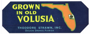 Grown In Old Volusia Brand Vintage Florida Citrus Crate Label