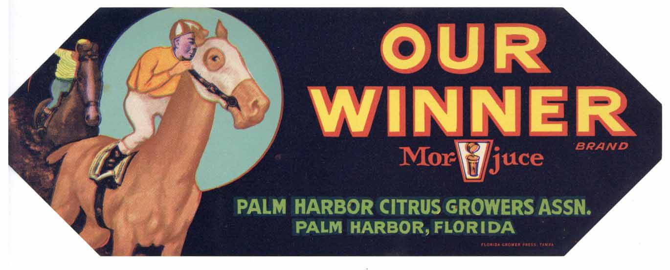 Our Winner Brand Vintage Palm Harbor Florida Citrus Crate Label