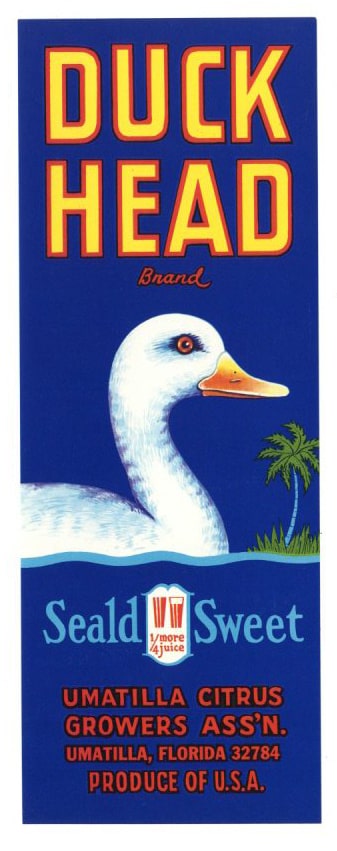Duck Head Brand Vintage Umatilla Florida Citrus Crate Label, v